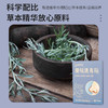 【益初汉堂 藏秘通鼻贴】 草本植萃温和舒适  快速渗透轻薄透气 草本精华放心原料  12贴/盒 商品缩略图3