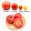 【绿行者】桃太郎番茄5斤 商品缩略图3