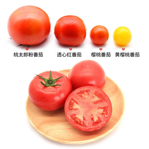 【绿行者】桃太郎番茄5斤 商品图3