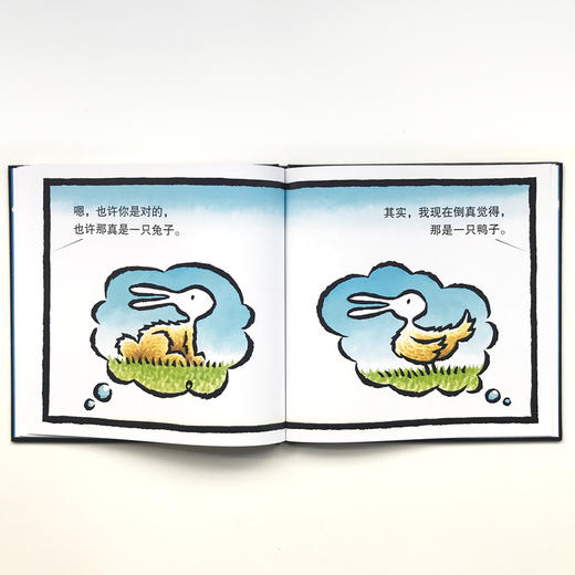 鸭子兔子儿童3-6周岁精装硬壳绘本培养孩子想象力图画书0-3岁宝宝早教书亲子共读晚安故事书幼儿园儿童书籍2岁 商品图3