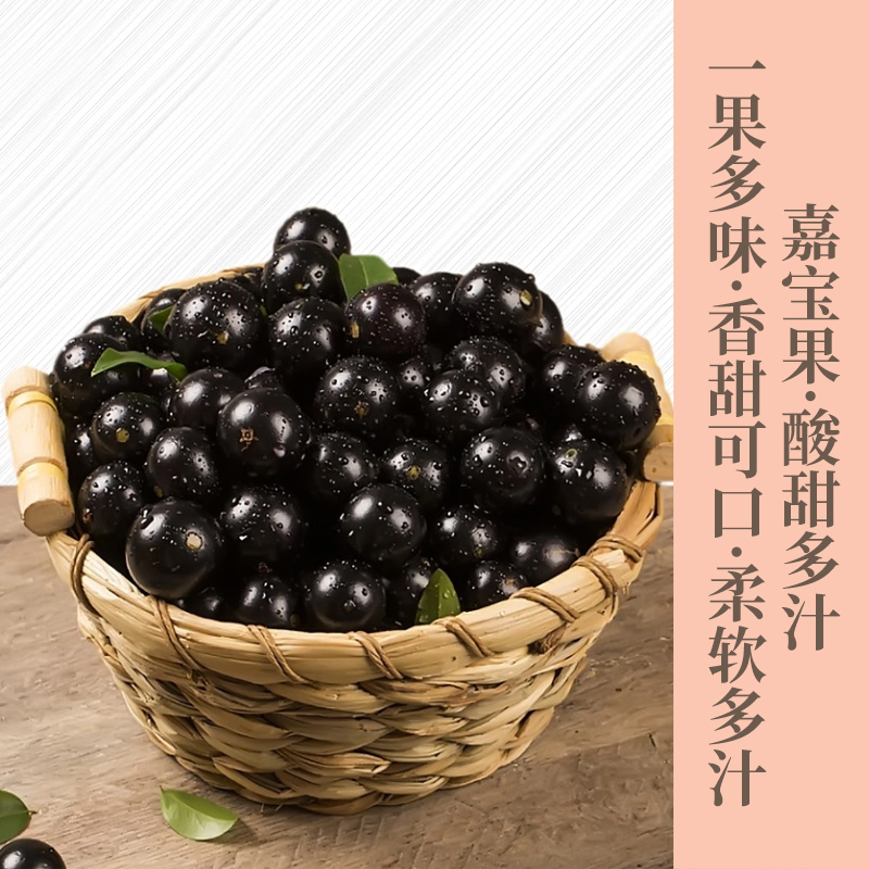 新鲜嘉宝果树葡萄孕妇水果稀有水果  柔软多汁  果肉透明 老少皆宜味道清香 色泽亮丽  顺丰包邮发出