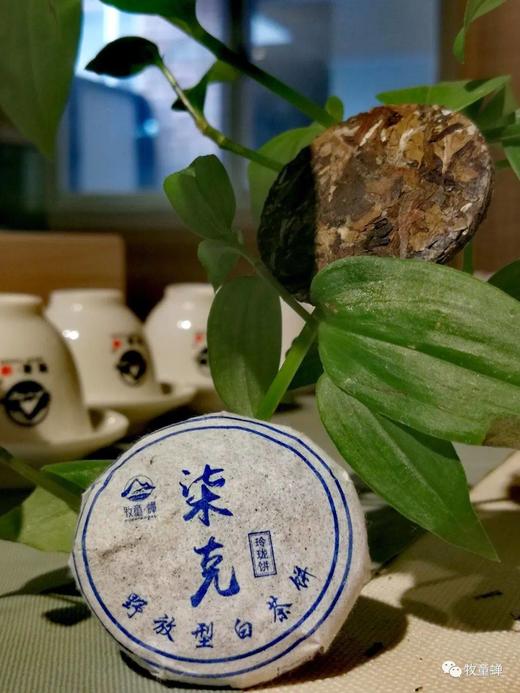 【牧童蝉柒克老白茶小饼】30粒装，又翻出一箱，仅剩50份啦，卖完再无！ 商品图1