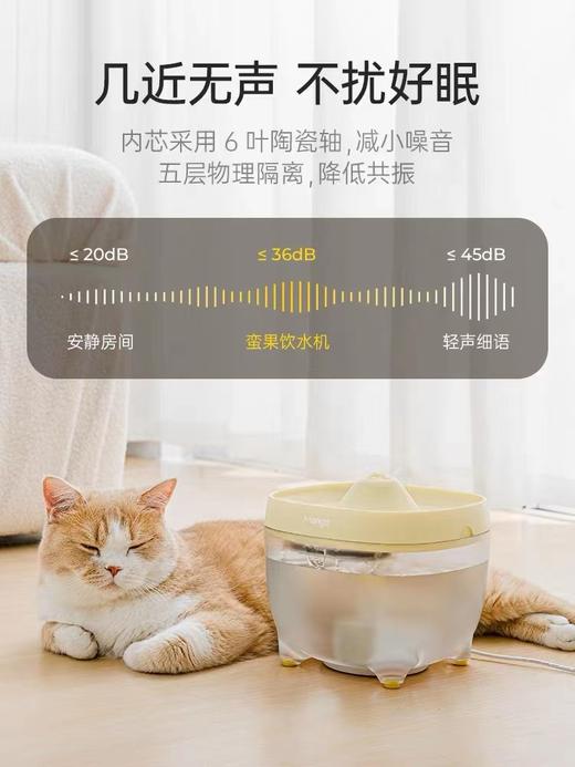 蛮果宠物 商品图2