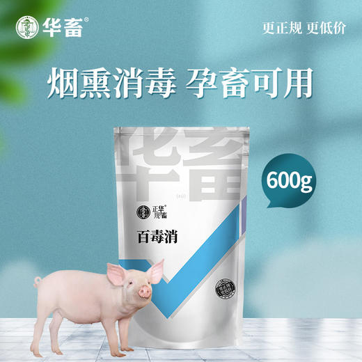 【朋友圈专享】华畜百毒消600g  净化空气 孕畜可用 烟熏消毒剂可带畜使用 商品图1