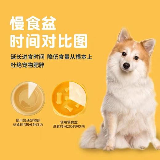 蛮果宠物 商品图6