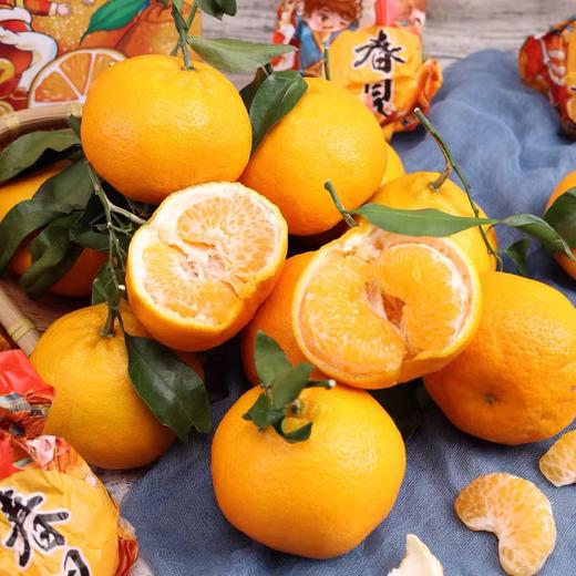 周三取货：【爆浆春见礼盒】一箱毛重8斤左右，果肉饱满，甜嫩多汁，好吃不上火！！！ 商品图4