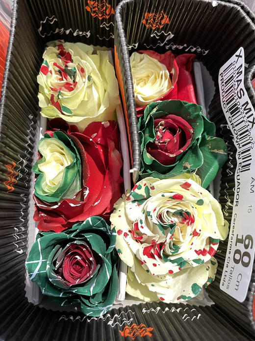 厄瓜多尔圣诞节限定染色混搭系列玫瑰花预售（12月20号左右发货） 商品图3
