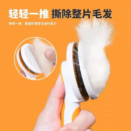 蛮果宠物 商品图12