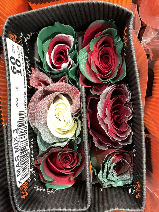 厄瓜多尔圣诞节限定染色混搭系列玫瑰花预售（12月20号左右发货） 商品图1