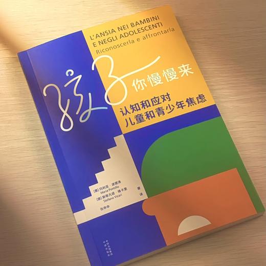 孩子你慢man来：知和应对儿童和青少年焦虑 商品图1