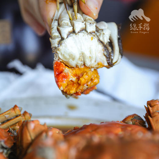 方野·生态醉蟹（熟醉蟹） | 绿家自产 *FarmYeah Liqur Soaked Crad | Self-production 商品图6