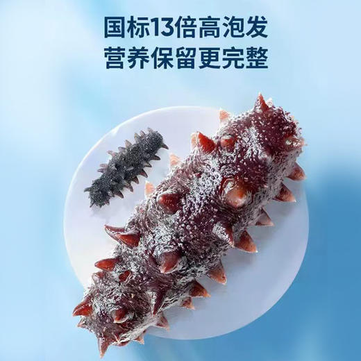 渔鼎天辽刺参（干参）250g/盒 商品图2