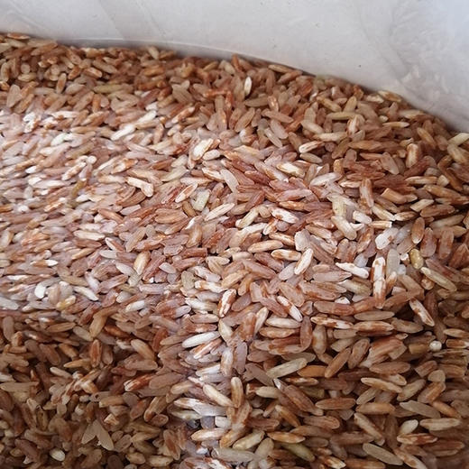 天时农业 云南梯田红米 5斤牛皮纸袋装 五谷杂粮 商品图2