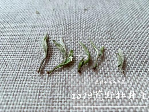 【60克分享装】2019荒野牡丹王，独坐幽篁里的雅淡疏狂！ 商品图1