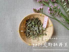 【60克分享装】2019荒野牡丹王，独坐幽篁里的雅淡疏狂！