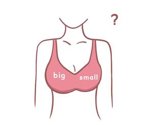 你是大小胸吗？