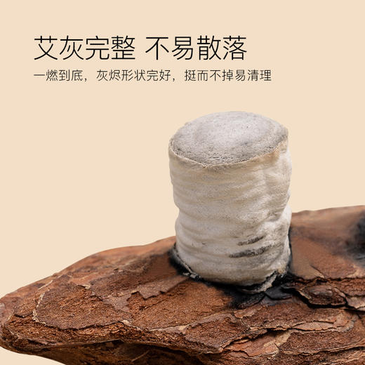 [2025]精品黄金艾柱 商品图5