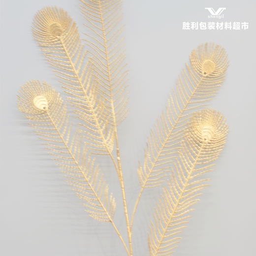 孔雀毛 商品图0