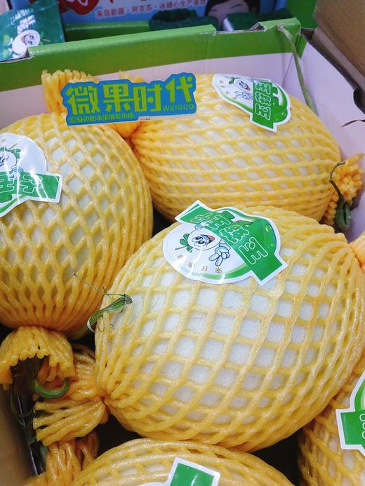 玉菇王子哈密瓜一箱（拼团） 商品图1