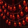 流苏LED红灯笼灯串 新年喜庆春节装扮结福字灯串wa12 商品缩略图2