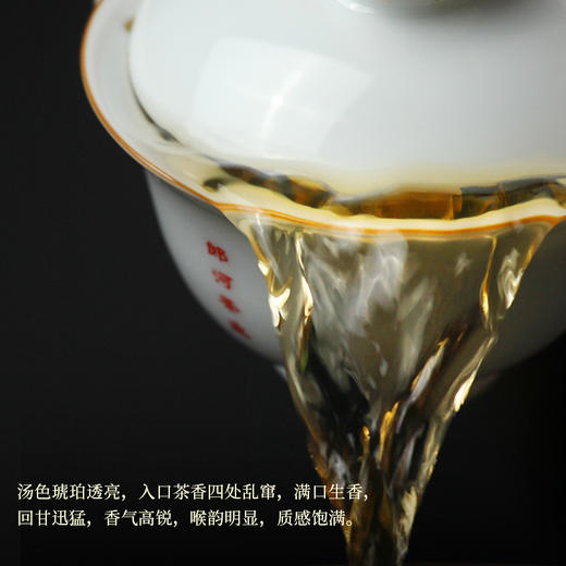 一球2023年鸿兔大展生茶357g 商品图2