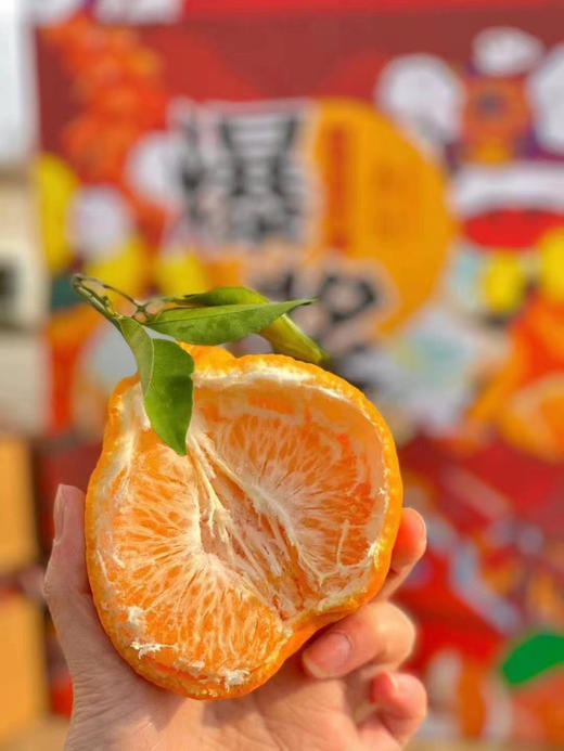 周三取货：【爆浆春见礼盒】一箱毛重8斤左右，果肉饱满，甜嫩多汁，好吃不上火！！！ 商品图0