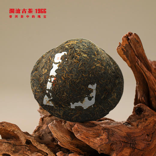 【开仓专享】澜沧古茶 2009年景迈春香班禅沱普洱熟茶（精装）  250g/沱 商品图1