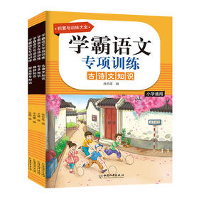 学霸语文专项训练第二辑 全4册