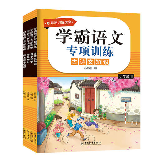 学霸语文专项训练第二辑 全4册 商品图0