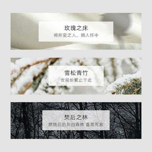 秘密之门限定香氛蜡烛礼盒 雪夜 商品图2