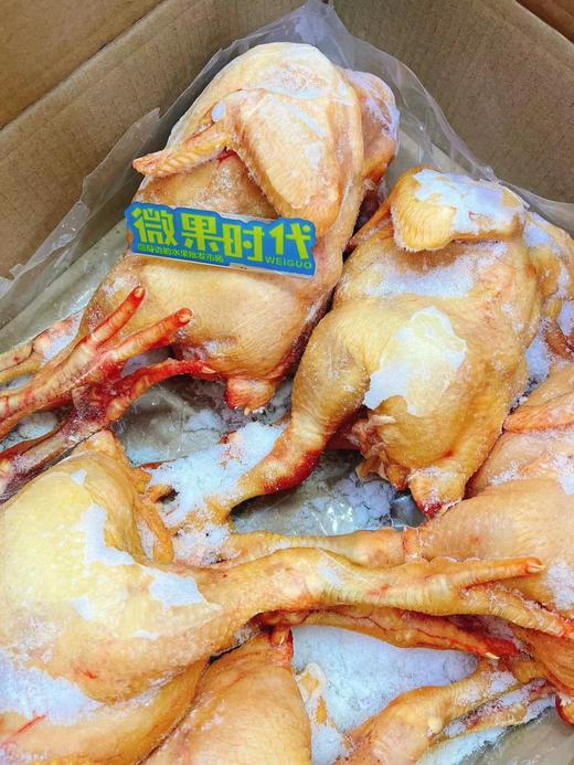 散养鸡三只（拼团） 商品图1