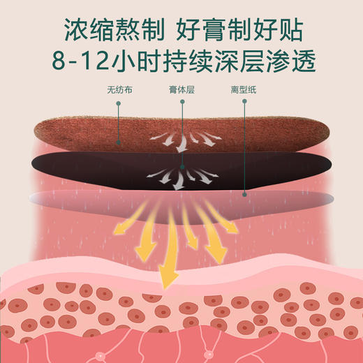 [2025]艾叶生姜温灸颈椎/腰椎/膝盖贴 10贴 商品图4