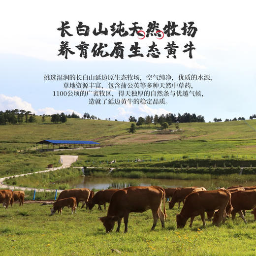 蟹状元状元年黄牛肉礼券 598型礼盒内含5种牛肉  商品图4