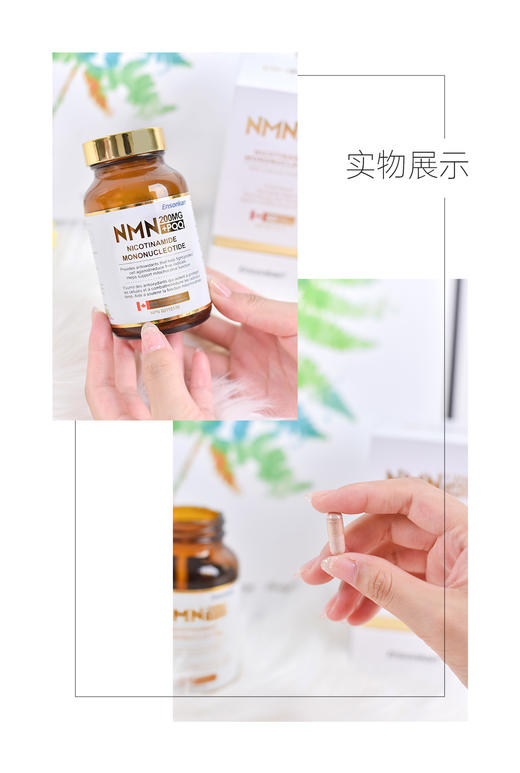 安迅康 Ensonkan NMN 200mg + PQQ β-烟酰胺单核苷酸 1瓶装/3瓶套装 (G) 商品图5
