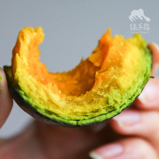 生态贝贝南瓜  | 合作生产*Ecological Pumpkin | Coproduction 商品图0