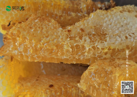 谷梁心选｜云南野生冬蜜（好蜂蜜无需多言，喝过的朋友都知道！）云南野生冬蜜，是蜂蜜中的上等蜜，好口感、好营养，好品质，值得拥有！拍一发二（12月27日统一发货） 商品图2