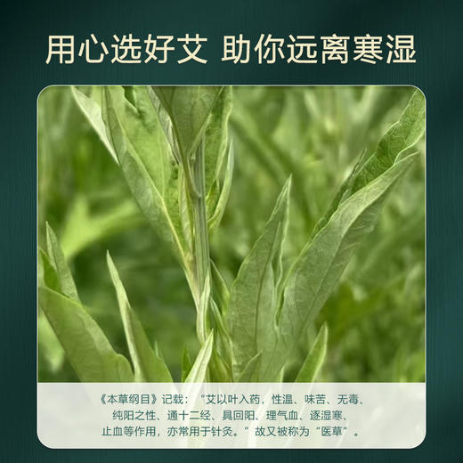 [2025]艾叶生姜温灸颈椎/腰椎/膝盖贴 10贴 商品图2