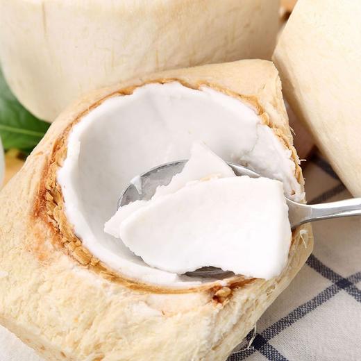 【本来果坊】泰国香水椰青9粒原箱装 送开椰器+吸管 商品图1