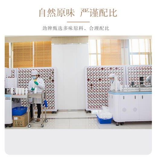 劲牌持正堂 藿香紫苏饮84g（6g*14袋） 商品图3