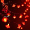 流苏LED红灯笼灯串 新年喜庆春节装扮结福字灯串wa12 商品缩略图0