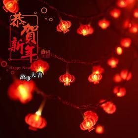 流苏LED红灯笼灯串 新年喜庆春节装扮结福字灯串wa12