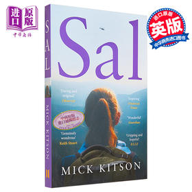 【中商原版】萨尔 英文原版 Sal  一部关于女性力量和生存的小说 Mick Kitson著 获奖小说