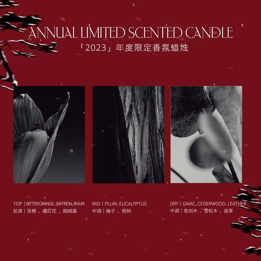 2023 年度限定蜡烛 240g 商品图2