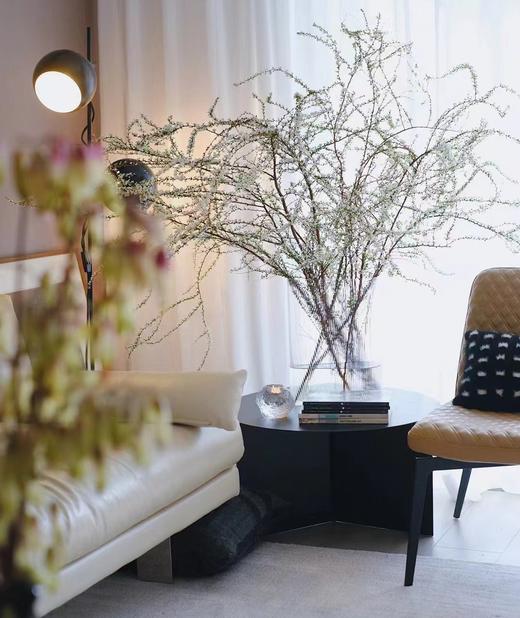 鲜枝雪柳中通包邮【一生温暖纯良，不舍爱与自由】简小姐精选 冬日新品神仙花材 浪漫清新雪柳1束 72小时发货 商品图0