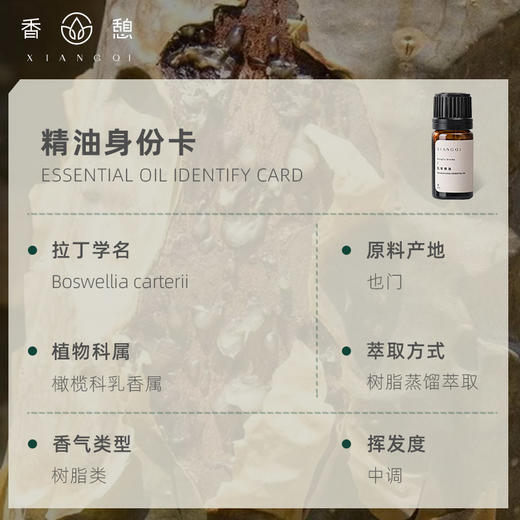 「课程·单方油」XIANGQI香憩︱乳香精油 5ml/瓶 商品图2