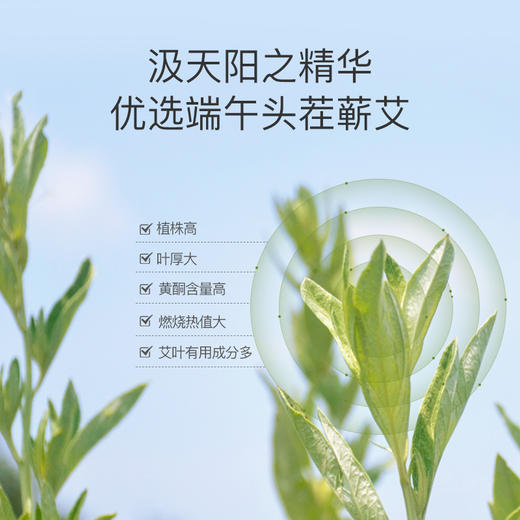 [2025]蕲艾纯手工艾条 商品图9