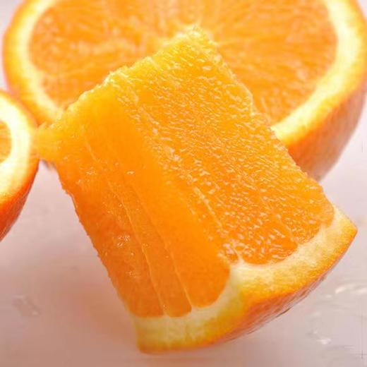 秭归脐橙10斤装左右（商） 商品图1