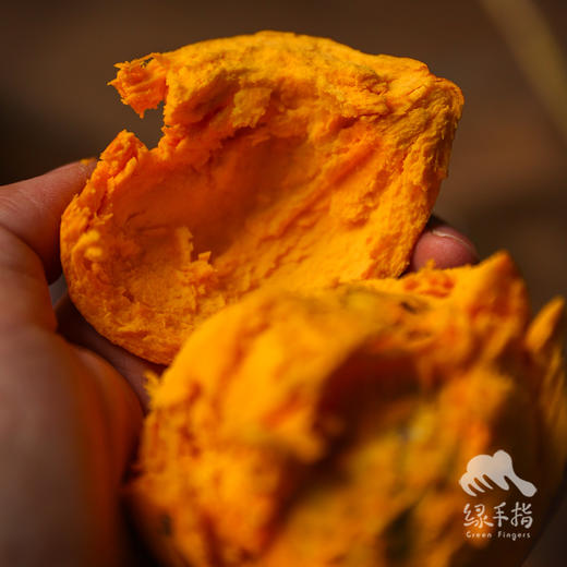 生态鸡蛋果 | 绿家自产 * Eco-lucuma | Self-production 商品图5