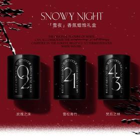秘密之门限定香氛蜡烛礼盒 雪夜