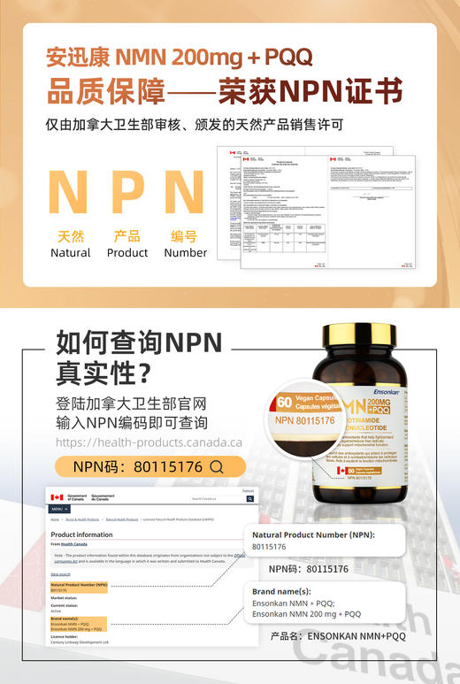 安迅康 Ensonkan NMN 200mg + PQQ β-烟酰胺单核苷酸 1瓶装/3瓶套装 (G) 商品图3